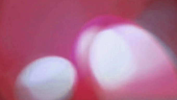 All good sissies will work on this today! SISSY STEPS the video! https://t.co/MKZFqkUq1K #realloyalfans<a href="/tag/realloyalfans"class="tags"><span>#realloyalfans</span></a>