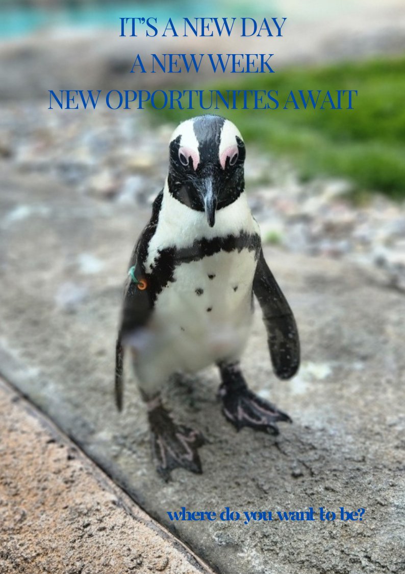 Don't wait for tomorrow. Start today. #wheredoyouwanttobe #newopportunities #newday #newweek #newyou victoria@clearstaffing.com