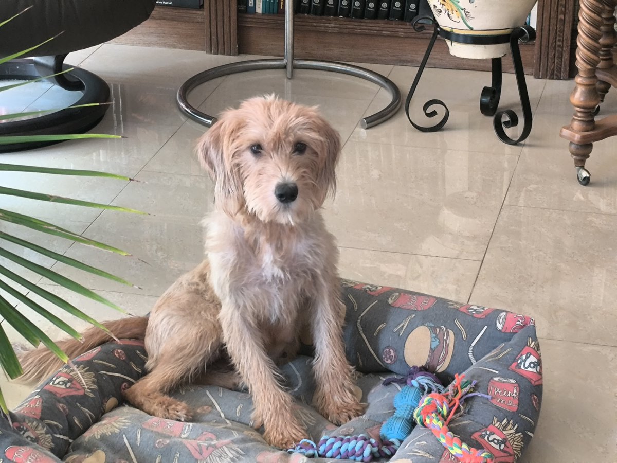 X ME CENSURA POR CRITICAR LA CAZA

X (antes Twitter) indica que esta foto de Vera y el comentario que he escrito debajo -puede consultarse en mi perfil- no es apto para menores y puede herir sensibilidades. Imagino que me han denunciado varios cazadores. Actúan como una mafia,