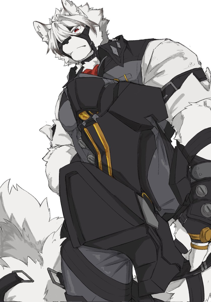 🐻&amp;🐺