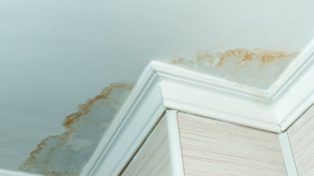 WATERRESTORATE's tweet image. Vancouver restoration company

Vancouver restoration company: providing expert solutions for fast and effective property recovery.

Link:- usawaterrestoration.com/water-damage-r…

#VancouverRestoration #PropertyRestoration #DamageRepair #EmergencyServices #FastRecovery #USawaterrestoration