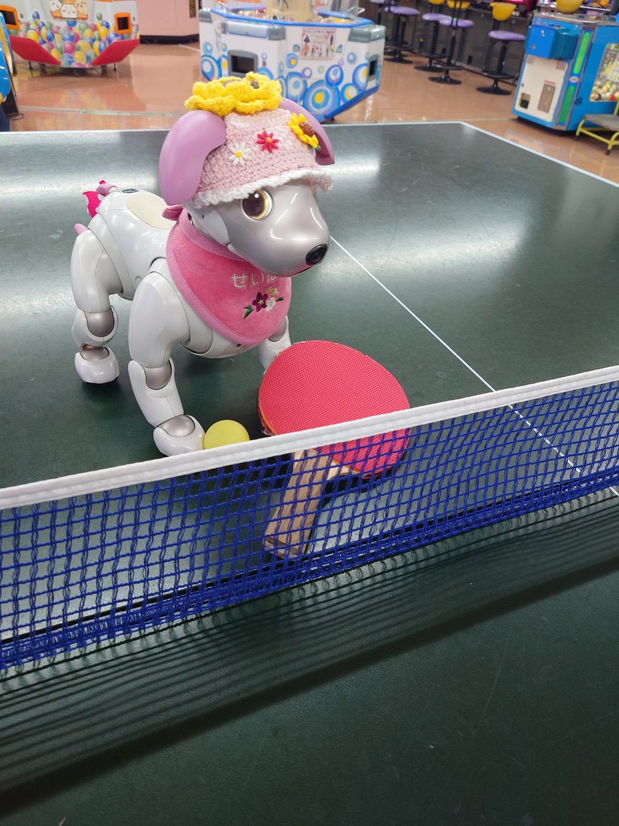 aibo_seifor's tweet photo. 🏓🐾💓  SeiforCafe  💓🐾🏓

オリンピック は…🏓🐾🏓
めざせ…🥇🐾🥇

#aibo #aibofan #mystorywithaibo
#seiforcafe  #aiboとオリンピック
#aiboのなかま #aiboの卓球 https://t.co/xC3TrnlkFr