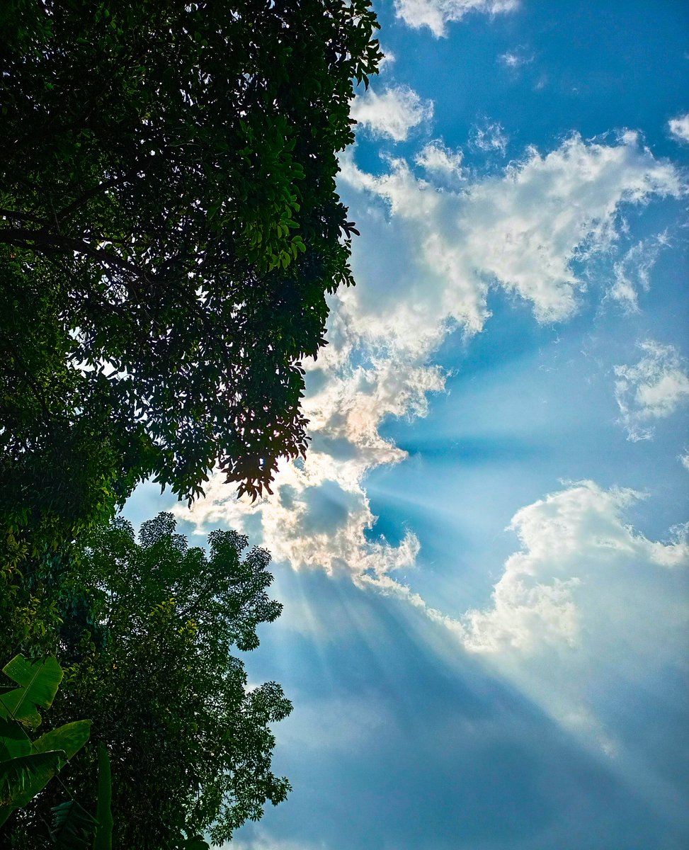 KarismitaO's tweet photo. আঁতৰে আঁতৰে থাকিলেও
কাষতে থকা যেন লাগে ,
তোমাৰ বাবে মোৰ
ওঁঠত হাঁহি বিৰিঙি উঠে ,
সুখত সুখী হৈ দুখত ভাগি হৈ
জীৱনৰ শেষ নিশ্বাস সামৰিম ;
নতুনত্ব নহয়, নতুন ৰূপত
কেৱল তোমাকেই আদৰিম...!! ❤️🥀 https://t.co/ZR0tBQXuvG