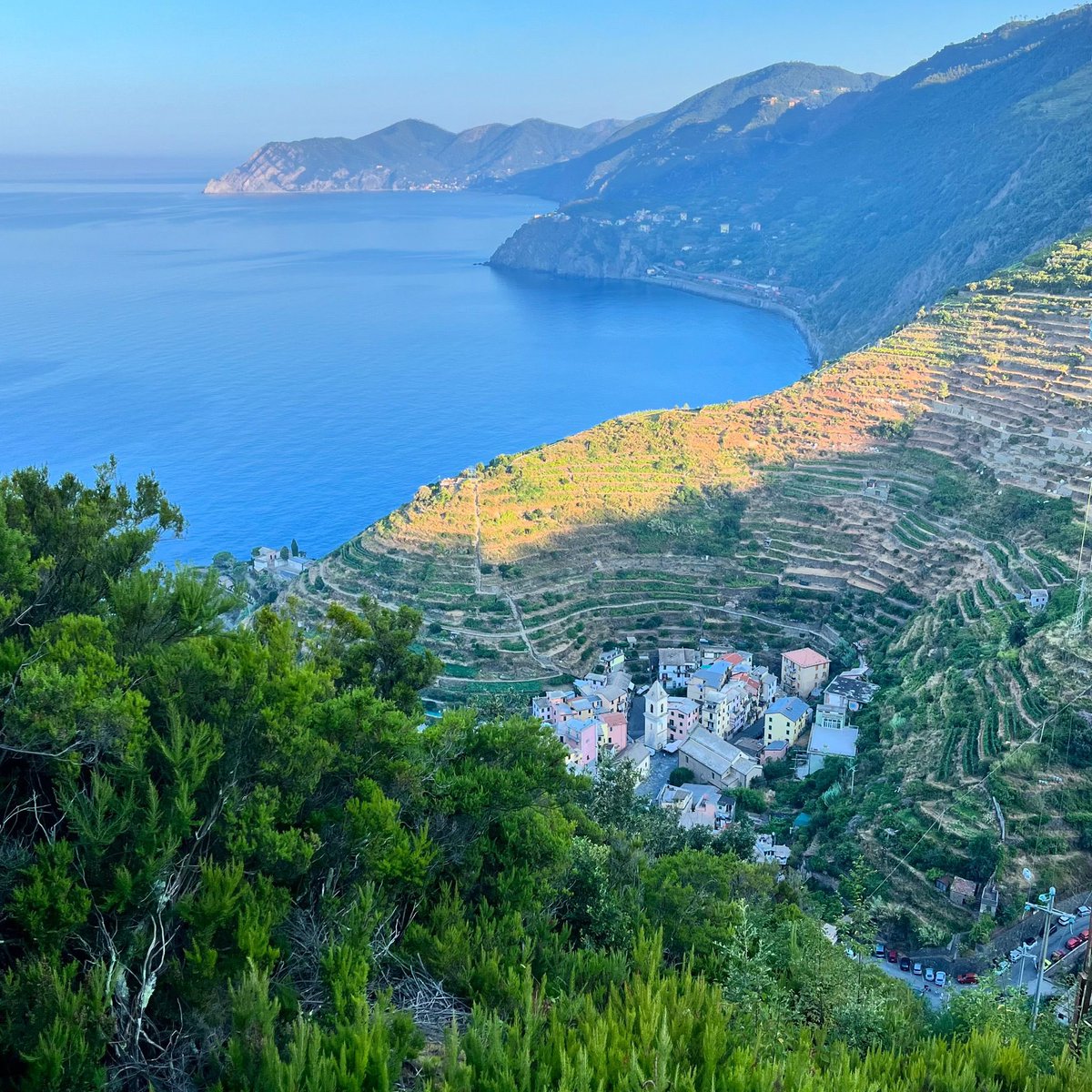 CinqueterreTrek's tweet photo. Trail N. 531, one of many routes between Riomaggiore and Manarola

#cinqueterre #nationalpark #beccara #manarola #riomaggiore #trails https://t.co/3l3KY7mOc5