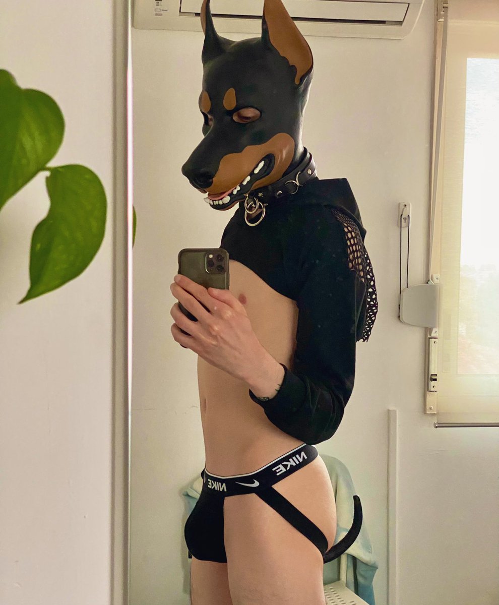 Not a naked pup tweet media