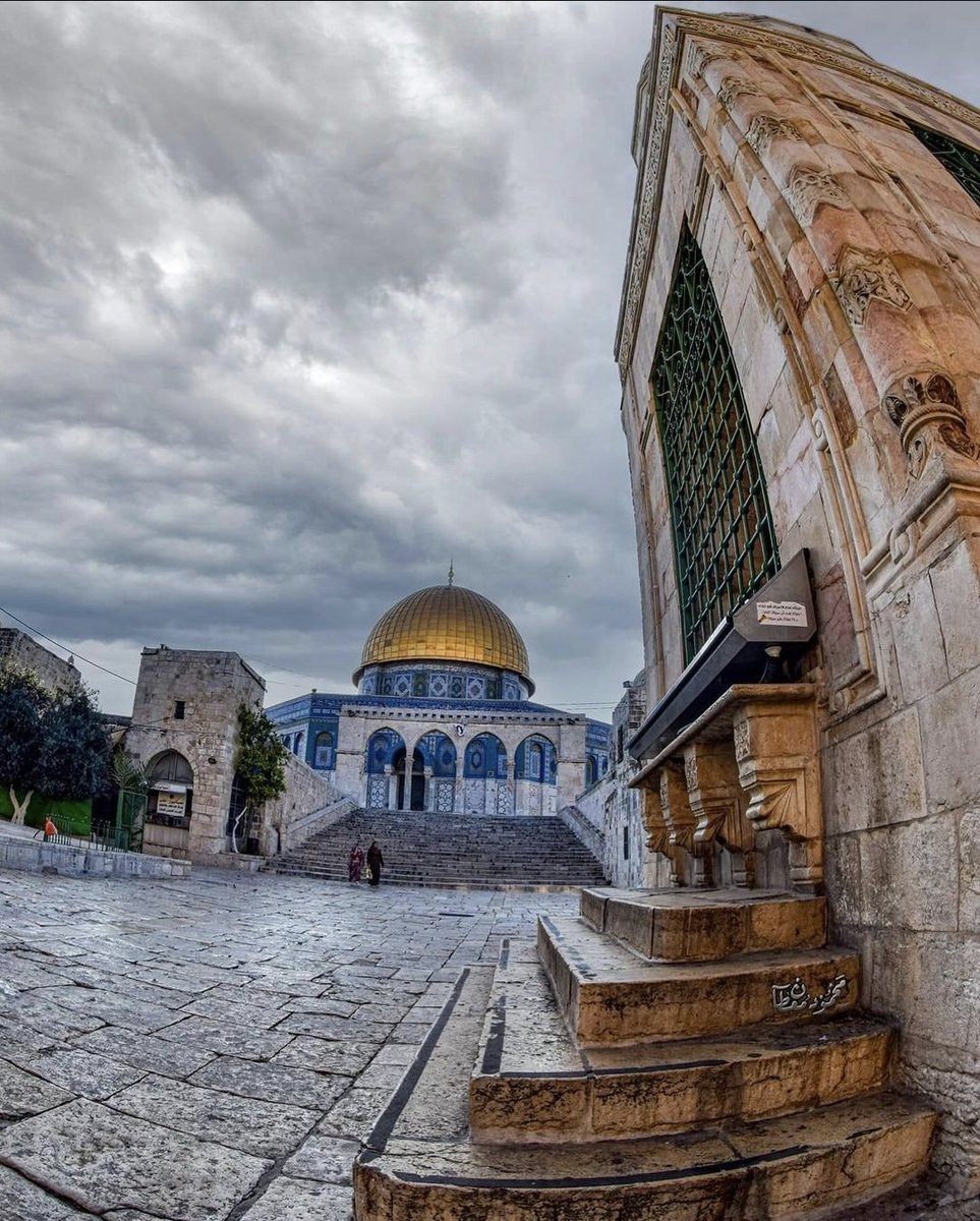 Palestina será Libre ✌️