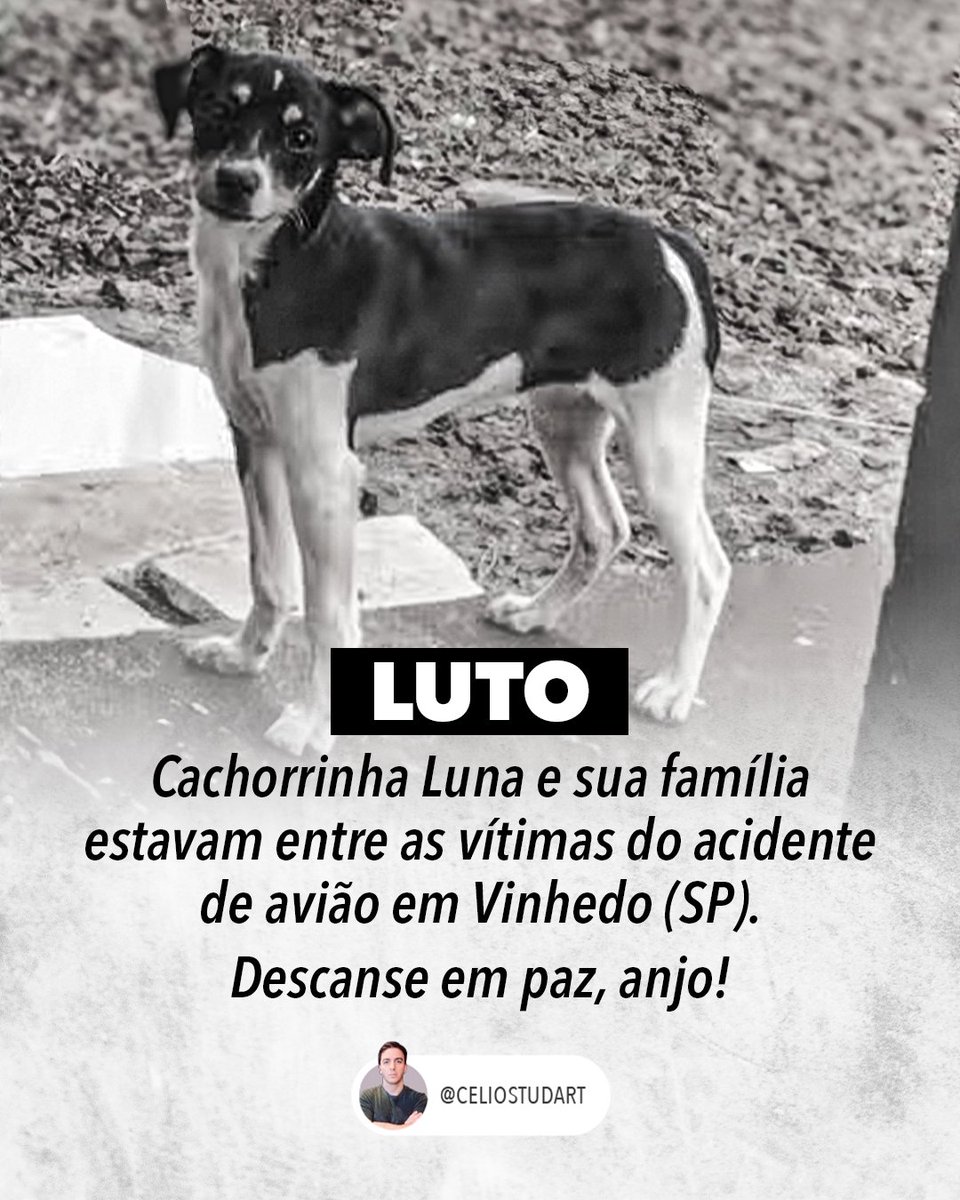 No Céu dos anjos! Eu acredito que seres puros assim quando passam dessa vida vão sem escala pro céu, e são recebidos com festa nesse lindo céu de pureza!