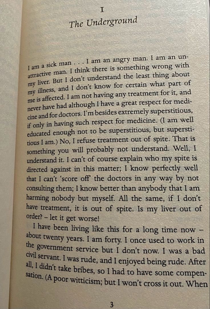 Fyodor Dostoevsky Collection 🪓 tweet media