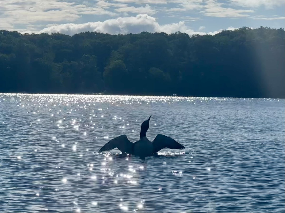 Dan Thornhill tweet media