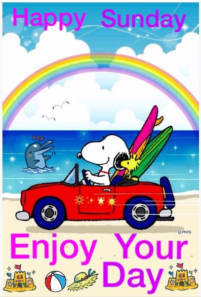 vickinorwood28's tweet photo. 💜 have a great day!  @GailAnn09 @gabriv1 @joaniecacc @sweetsoton @martine_mig @Lisadc145 @KatrinaCummins2 https://t.co/8IJpYnZwI9