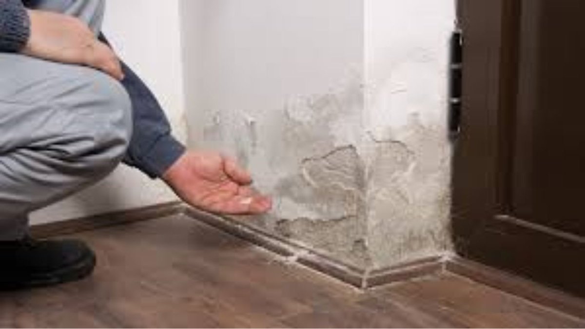 WATERRESTORATE's tweet image. Water Damage Recovery Vancouver

Water Damage Recovery Vancouver: comprehensive solutions for quick and efficient property restoration.

Website:- usawaterrestoration.com/water-damage-r…

#WaterDamageRecovery #VancouverWA #PropertyRestoration #FloodRepair #Usawaterrestoration