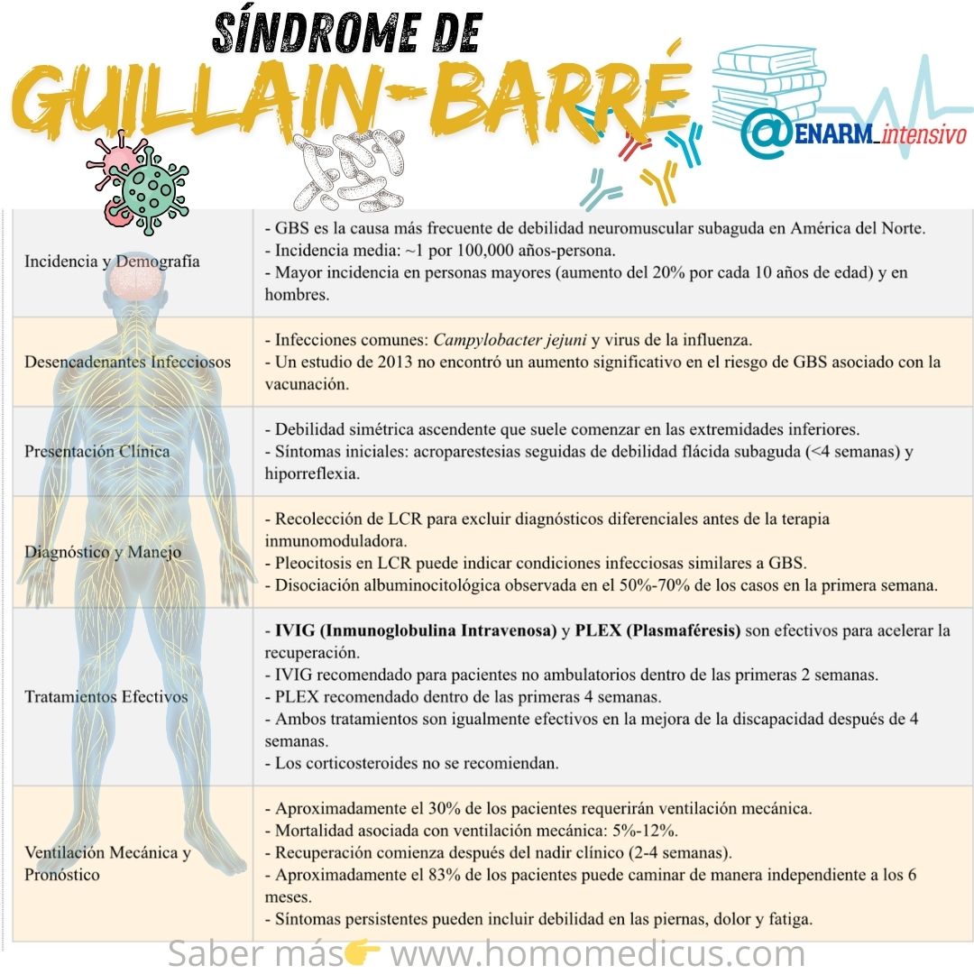 ENARM_intensivo's tweet photo. 🌀SÍNDROME  DE  GUILLAIN-BARRÉ

#ENARM_INTENSIVO #ENARM2024 #ENARM

🧠💉💪 https://t.co/UNQhZrNvh3