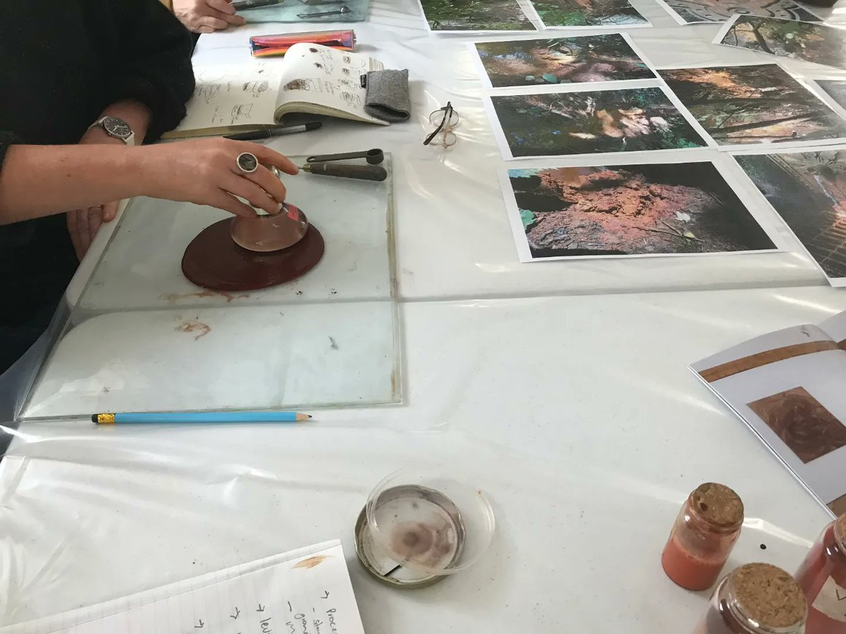 CAMPLE LINE tweet media