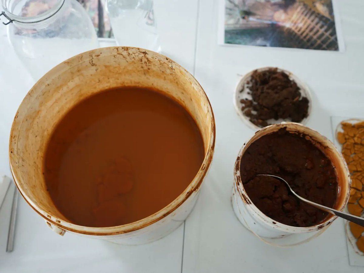 CAMPLE LINE tweet media