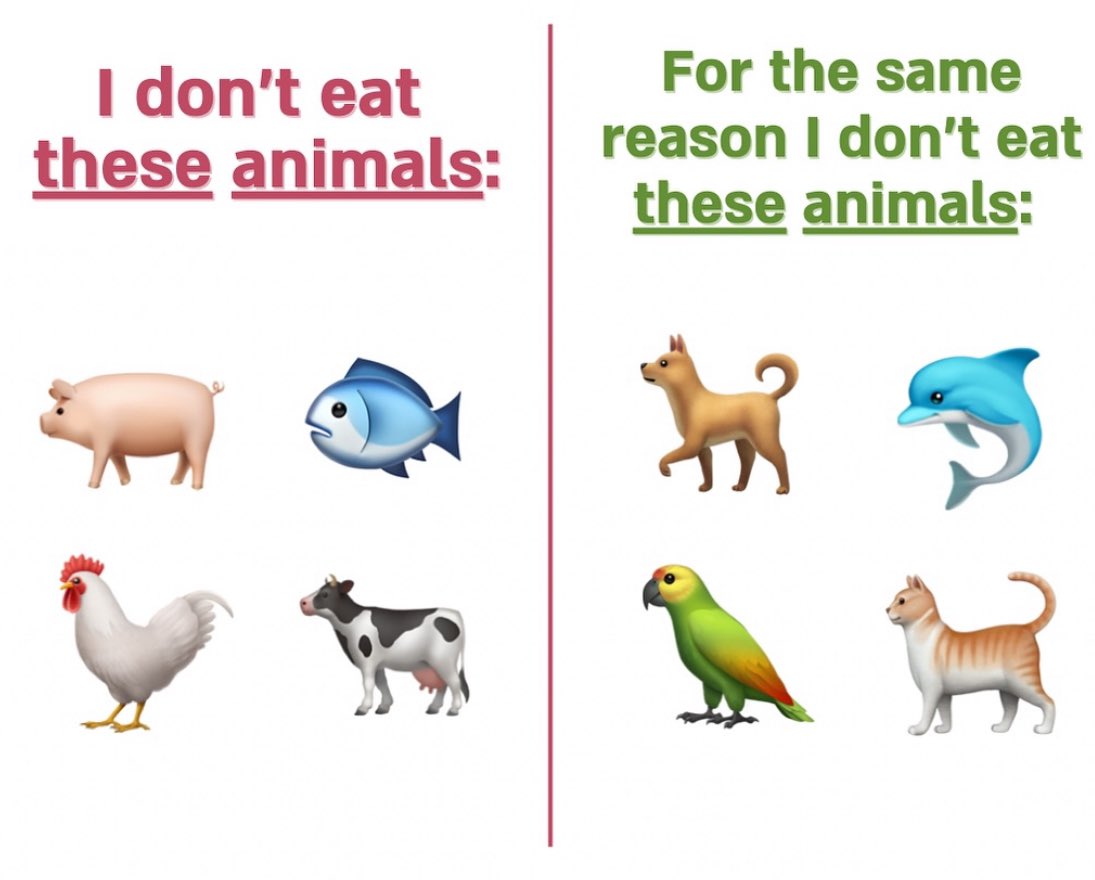 out of context vegan (@vegansarcasm) on Twitter photo 