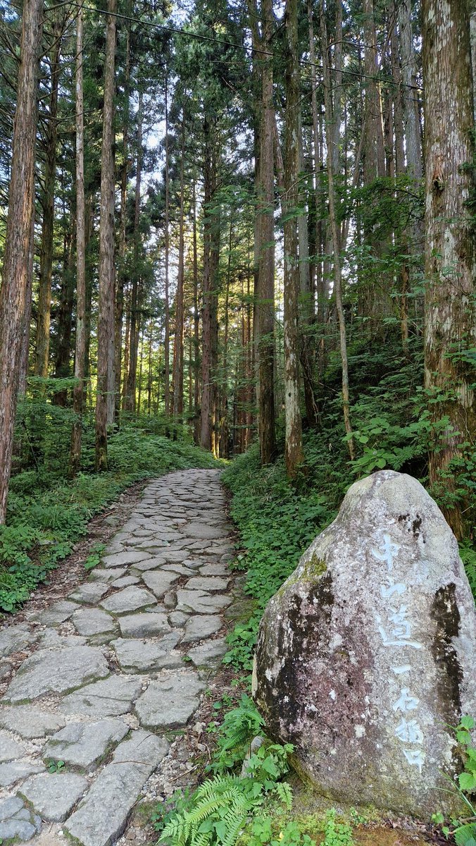 RobertoMinella's tweet photo. Along the old #Nakasendo trail, road of merchants, pilgrims and samurai https://t.co/dr13otyfg1