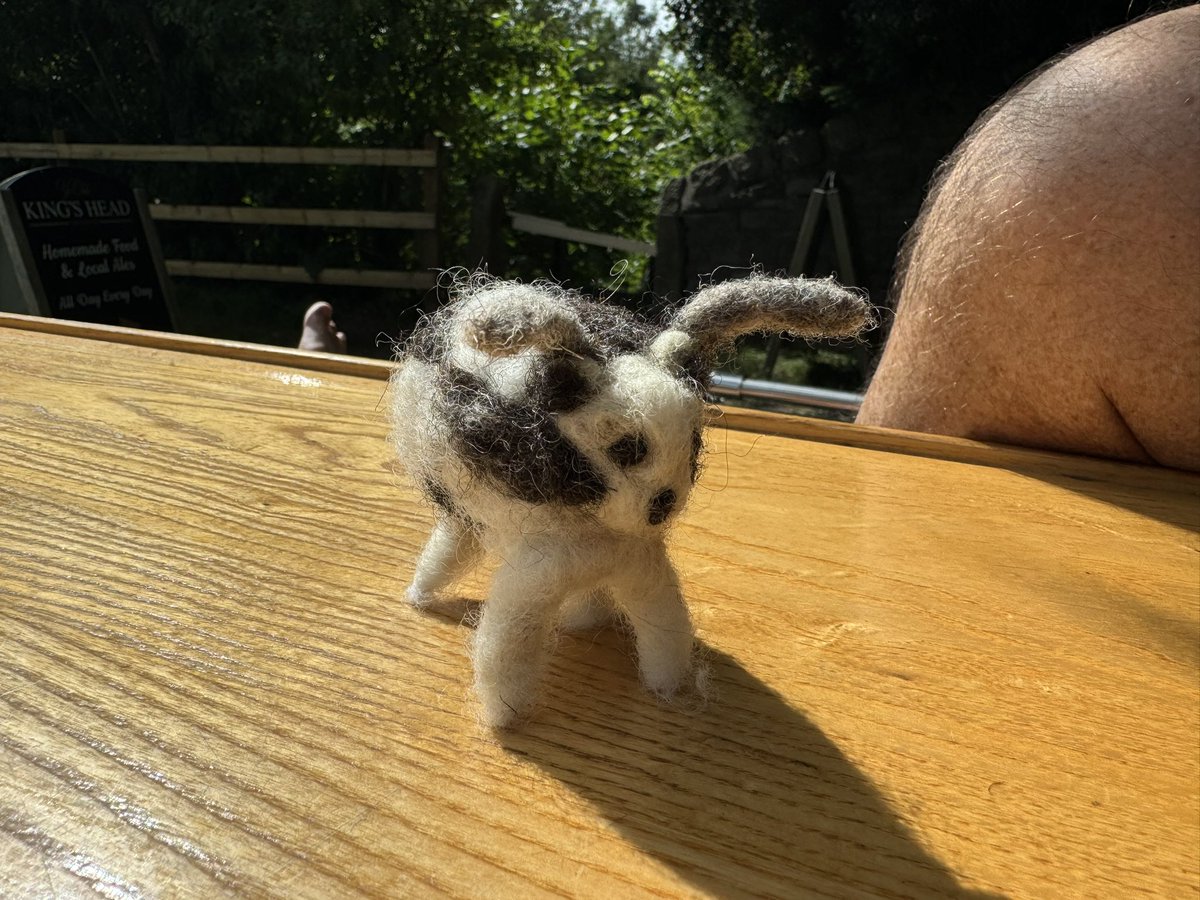 maxinekbrown's tweet image. Enjoyed playing over the last few days. Trying my hand at felting. This was meant to be a Jacob’s sheep. Not quite got it but will keep practicing 😊
#feltingwool 
#narrowboatlife