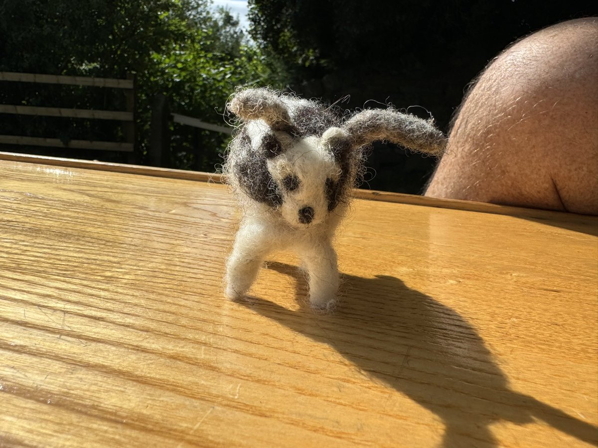 maxinekbrown's tweet image. Enjoyed playing over the last few days. Trying my hand at felting. This was meant to be a Jacob’s sheep. Not quite got it but will keep practicing 😊
#feltingwool 
#narrowboatlife