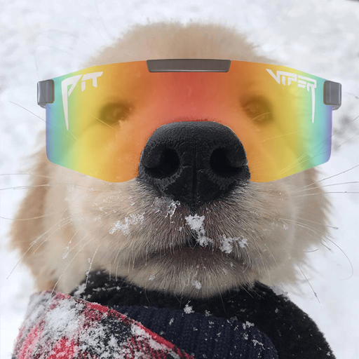 CHILLY CTO tweet media