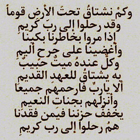 محمد العجالين tweet media