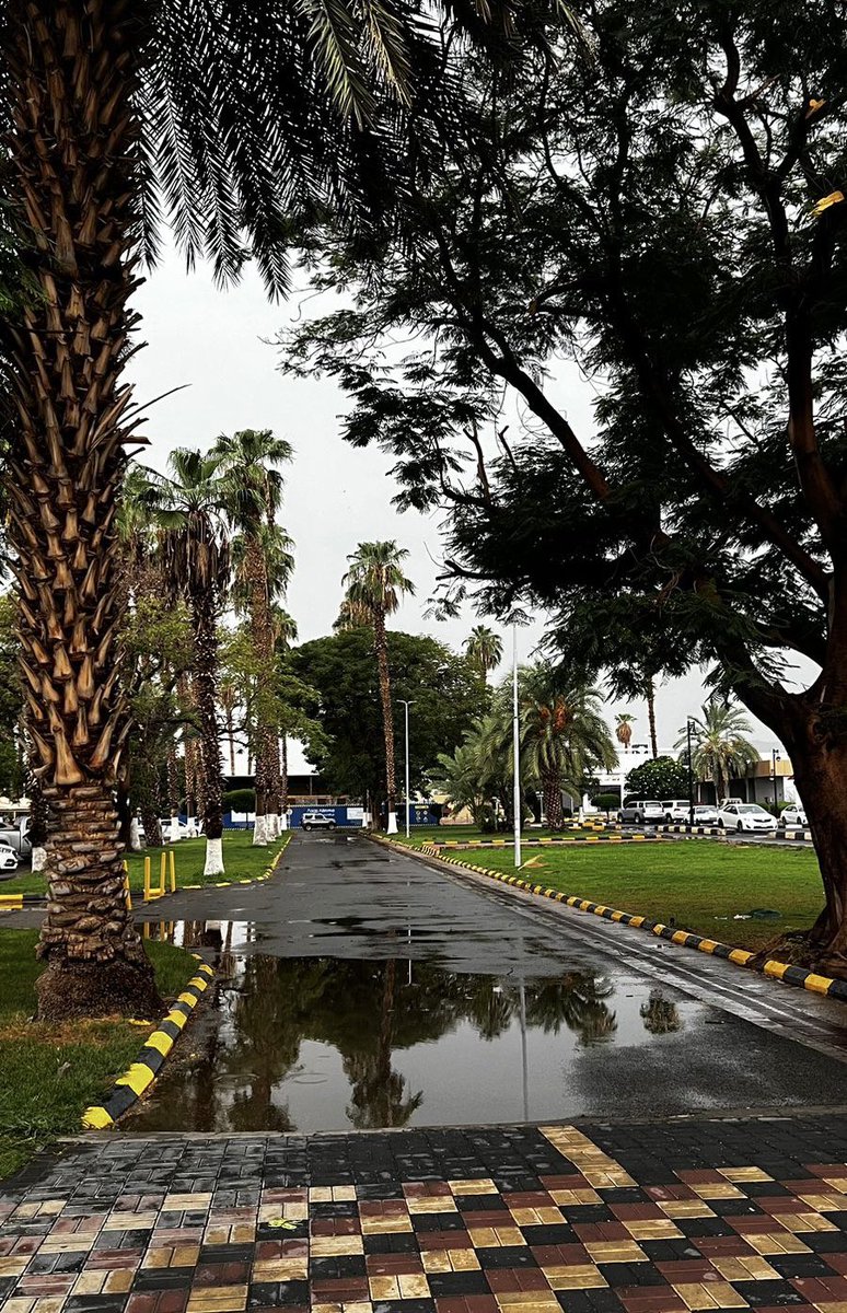 8ttp_'s tweet image. اليوم قعدت ساعة زيادة في الدوام والسبب الأجواء الحلوة✨