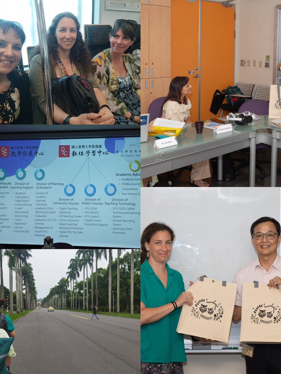 Gabriella Rodolico tweet media