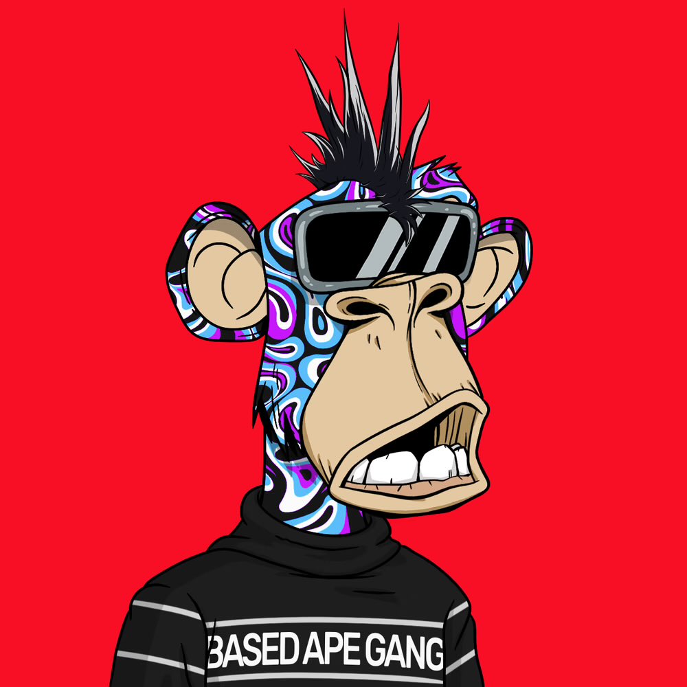 𝕮𝖆𝖕𝖙𝖆𝖎𝖓 🏴‍☠️👑 tweet media