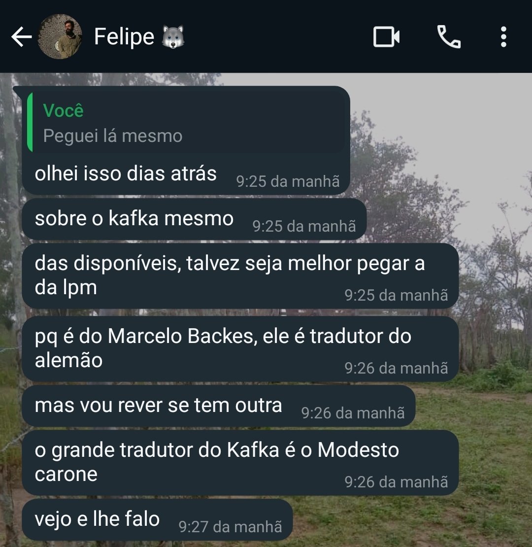 Acho fofo namorar alguém das Letras porque ele me ajuda a escolher a melhor tradução de qualquer livro hahaha ❤️