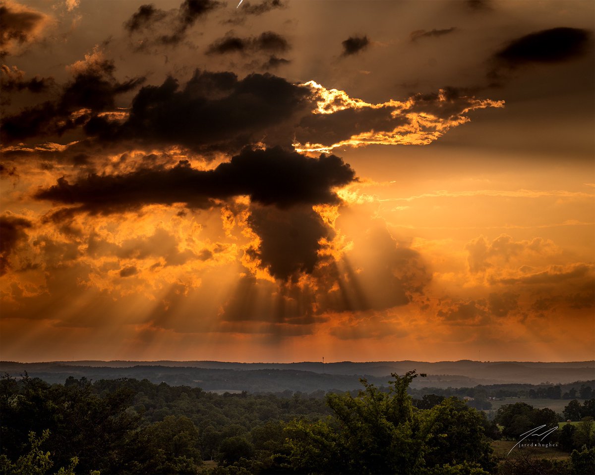 Jared Hughes tweet media