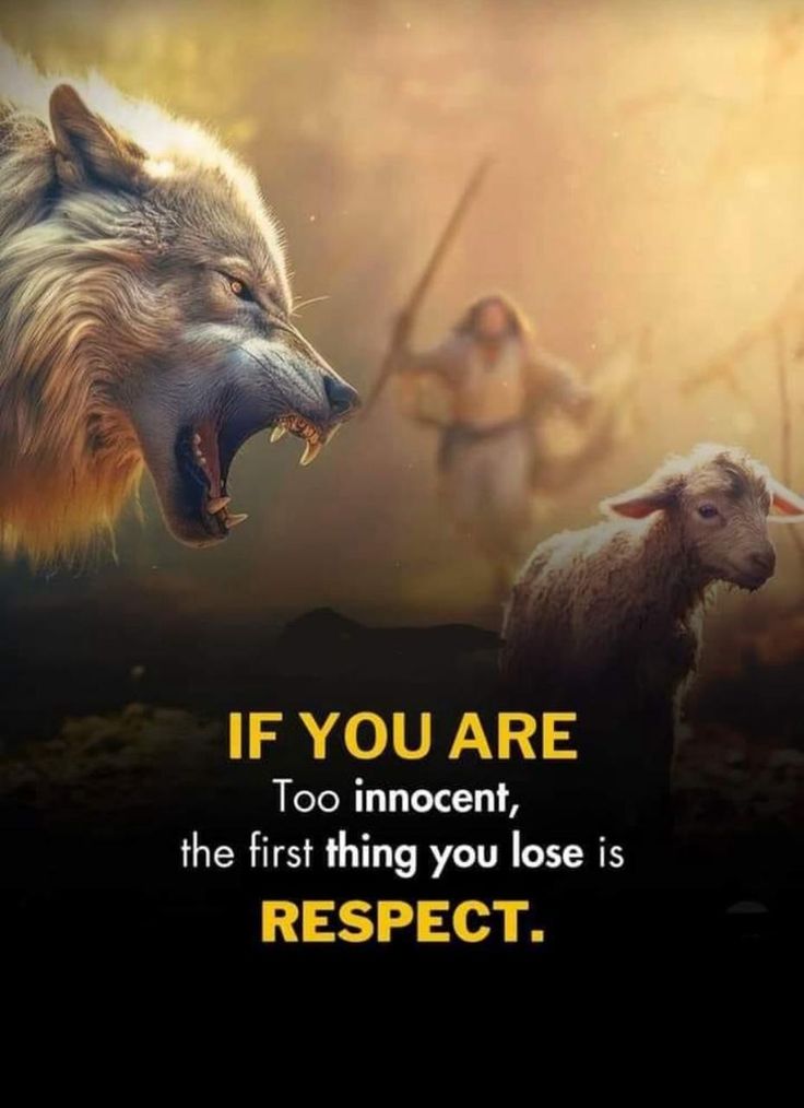 SharjeelxRajput's tweet photo. Respect is every thing
#NoLimts #chamge #motivation https://t.co/StYyMiMn3f