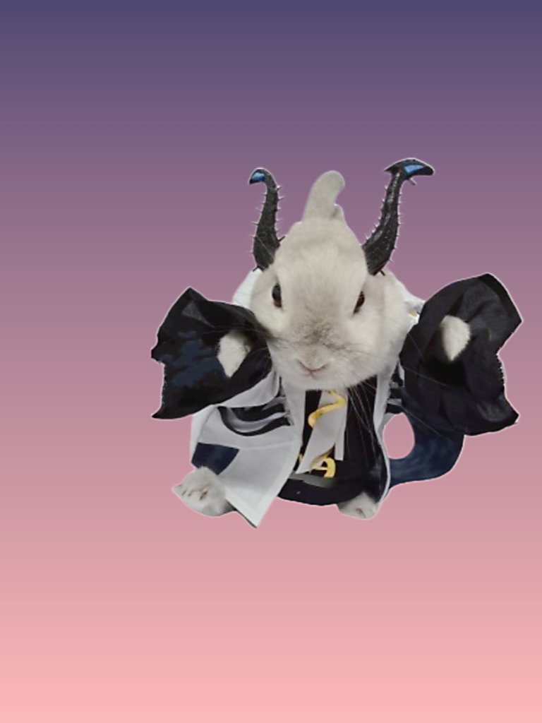 蘭萌皇🐰バイラン皇帝 tweet media