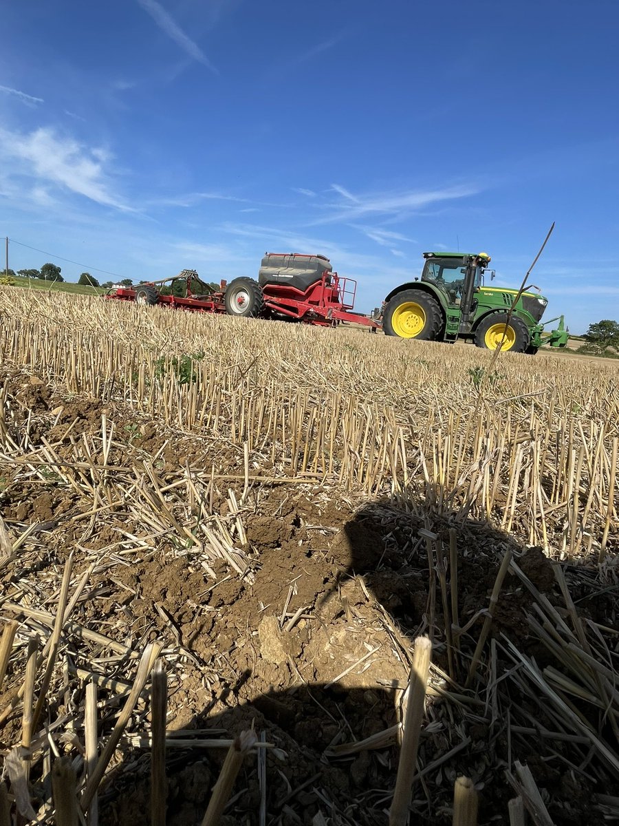 BenoitWatrin's tweet image. Après une moisson qui se termine enfin, semi des couverts végétaux et mise en place d’essais.
Au menu féverolles, vesces, phacelie, moutardes blanche et d’abyssinie☘️🌿🌱
#ACS