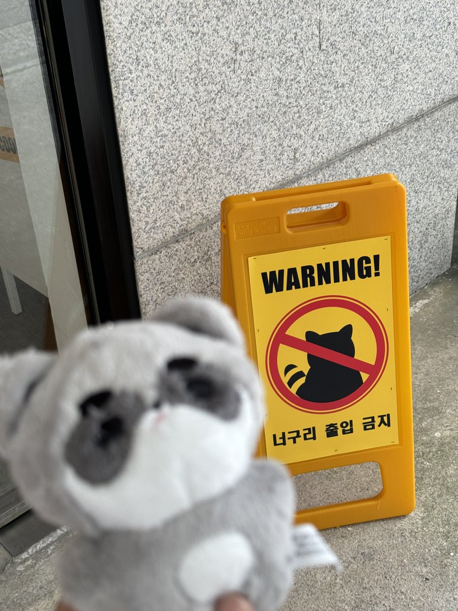 BOBPUL_88's tweet photo. @NRZ808 
#너구리출입금지구역 
#NoRaccoonsZone 
너구리 출입금지라니.. 그렇다면 무조간 데려가야죠ㅋㅋㅋ여기 생카들어갈땐 일부러 폰화면까지 너구리출입금지 사진으로 바꿔서 들어간 사람ㅋㅋㅋㅋㅋㅋㅋㅋ😆😆🤣출입금지스티카붙이면 더귀여워지는너구리ㅋㅋ컨셉이너무예뻐서무조건오면만족라는곳 https://t.co/f6lUXRjovH