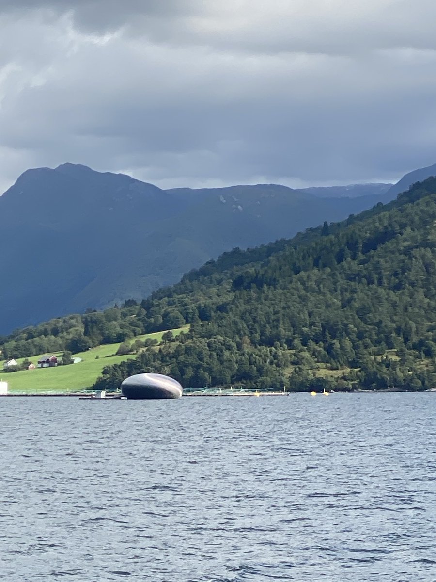 Heidikvisla's tweet photo. Jā, tas dīvainais objekts ir Mišelin restorāns, netàlu no Rosendal. Piekļūt var tikai ar laivām un galdiņu rezervācija ir vismaz3 mēnešus iepriekš…🤷‍♀️😅 https://t.co/K6oVLMcwPr