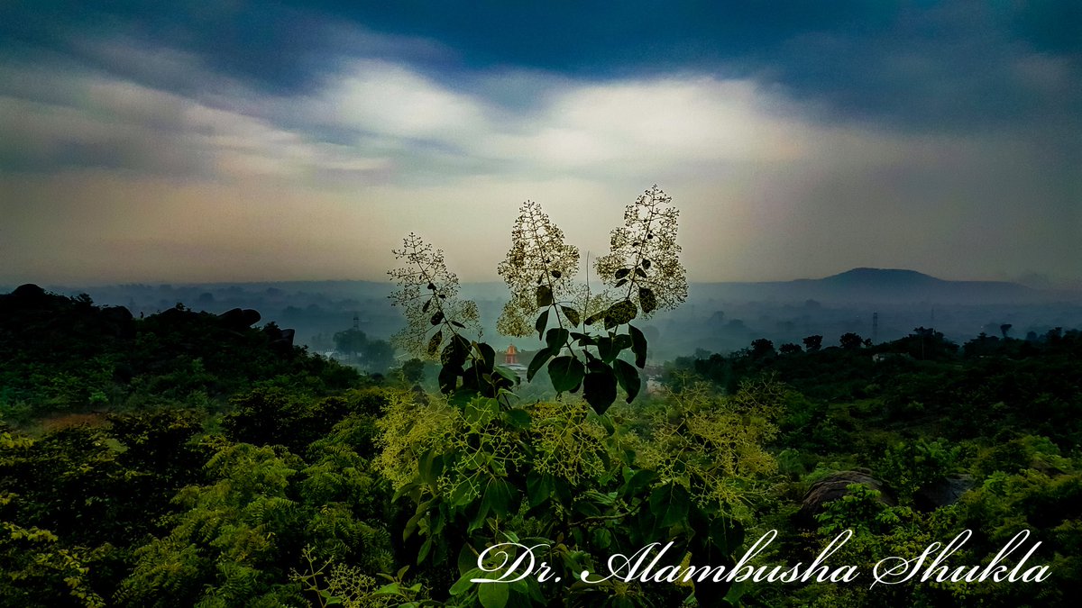 AlambushaShukla's tweet photo. QT a scenery you clicked ✨️

@Theme_pic_India

#Theme_pic_India_Monsoon https://t.co/Q6U1JMvlfz