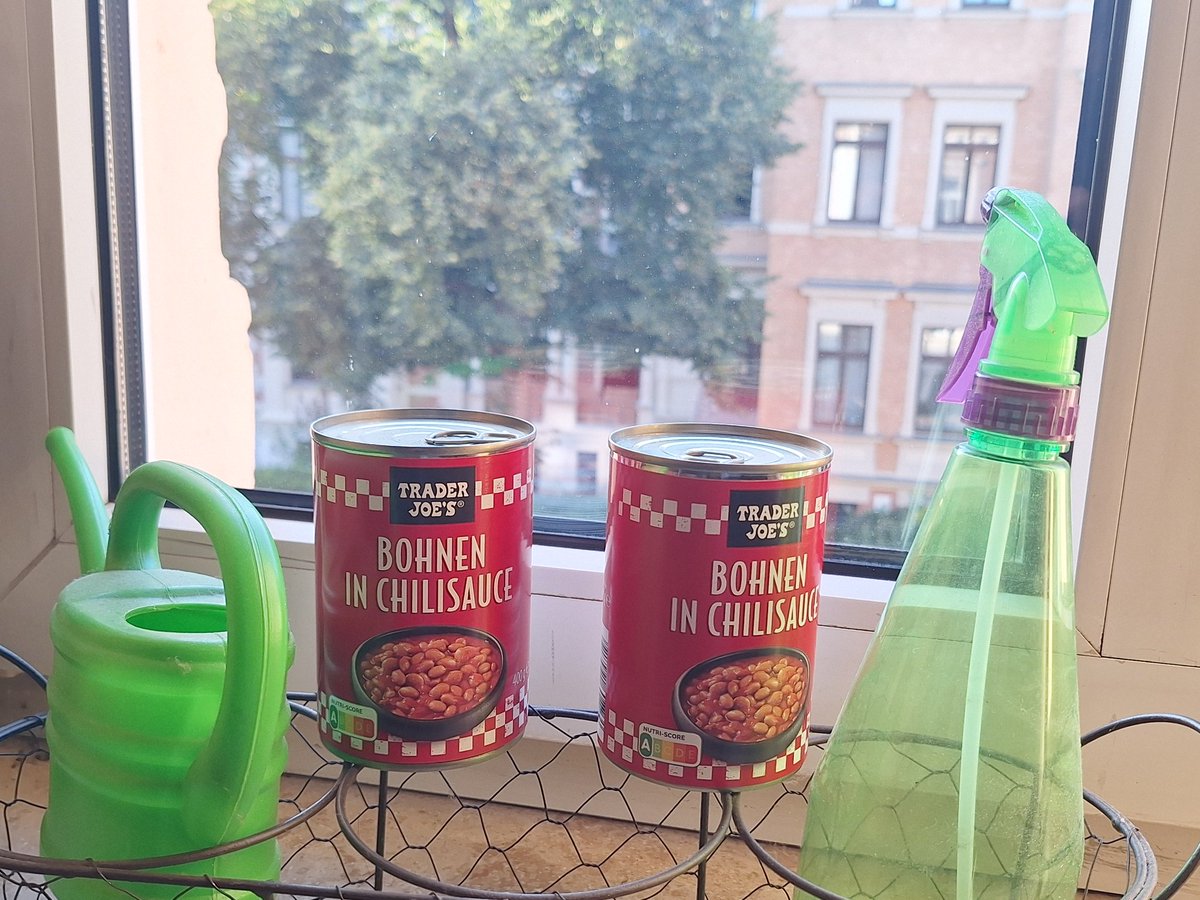 ninjalinne's tweet image. You follow me i follow back
Or i follow you and you Follow back

This is Not an Alpha Account, just sharing nice trades And simping around with TA.

FREN and Competetiv CT Account.

#Cryptosoupgroup #TraderJoe

Beans in Chilli sauce