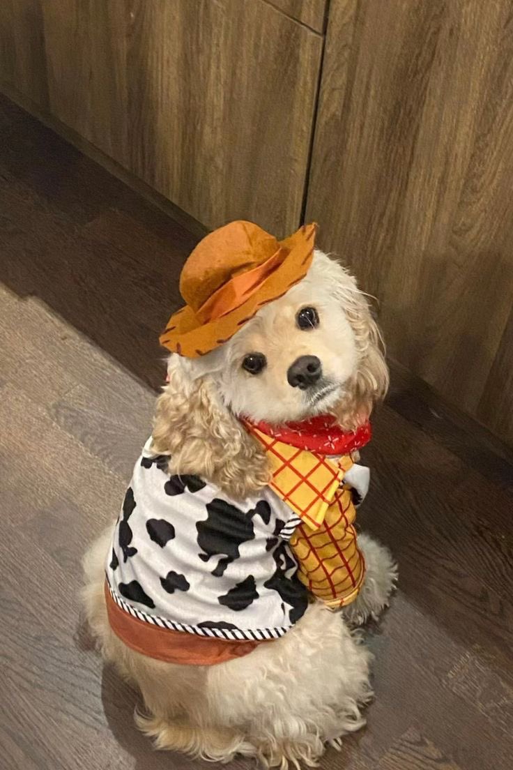 twaniimals's tweet photo. 🤠 https://t.co/v0IDougEzO
