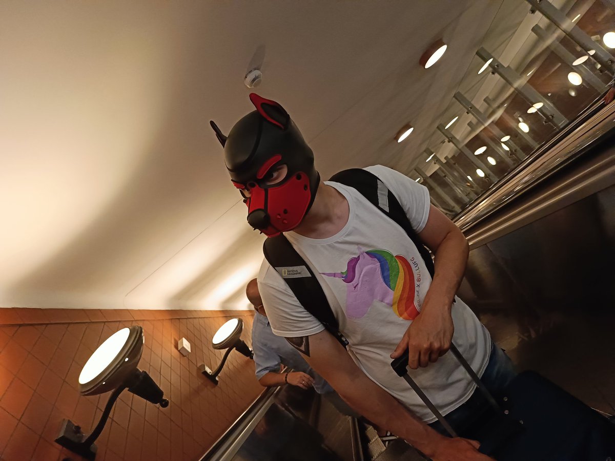 Liamthewolf669's tweet photo. We are going up and forward, closer and closer to the goal π
#pupplay #puppyplay #gay #gaypup #gaypuppy #adventure #adventures #vacations #playtime #redpup https://t.co/apeuJNif00