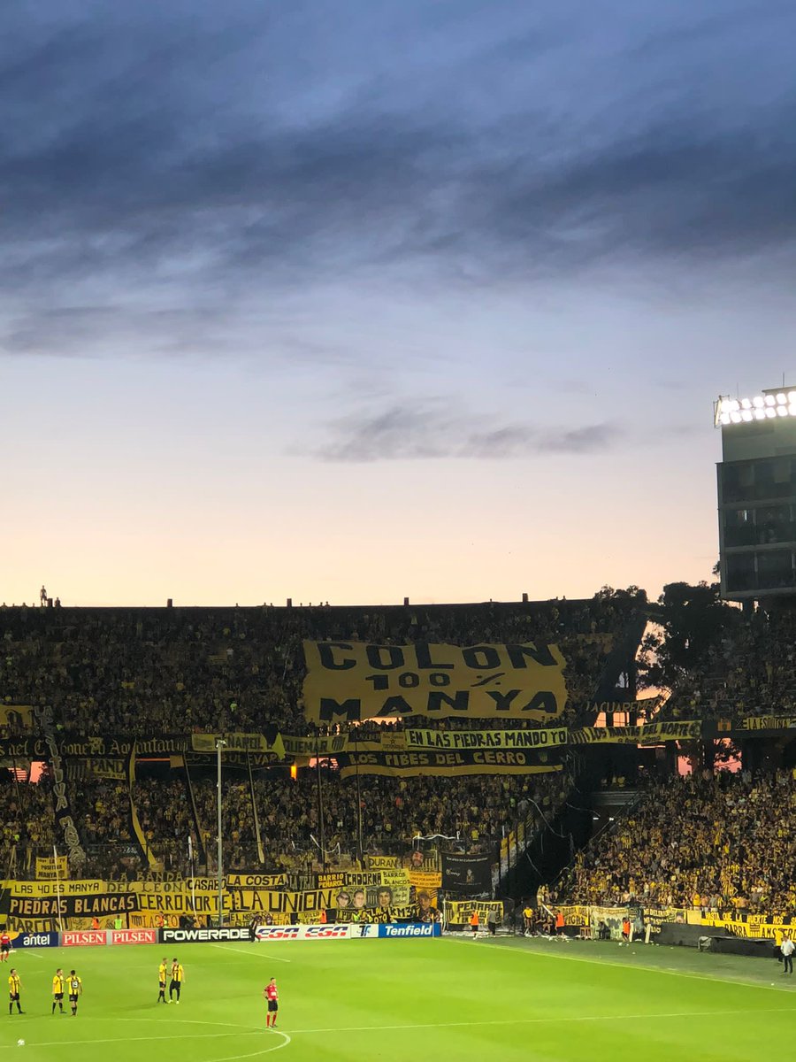 PEÑAROL MENTE DAÑINA tweet media