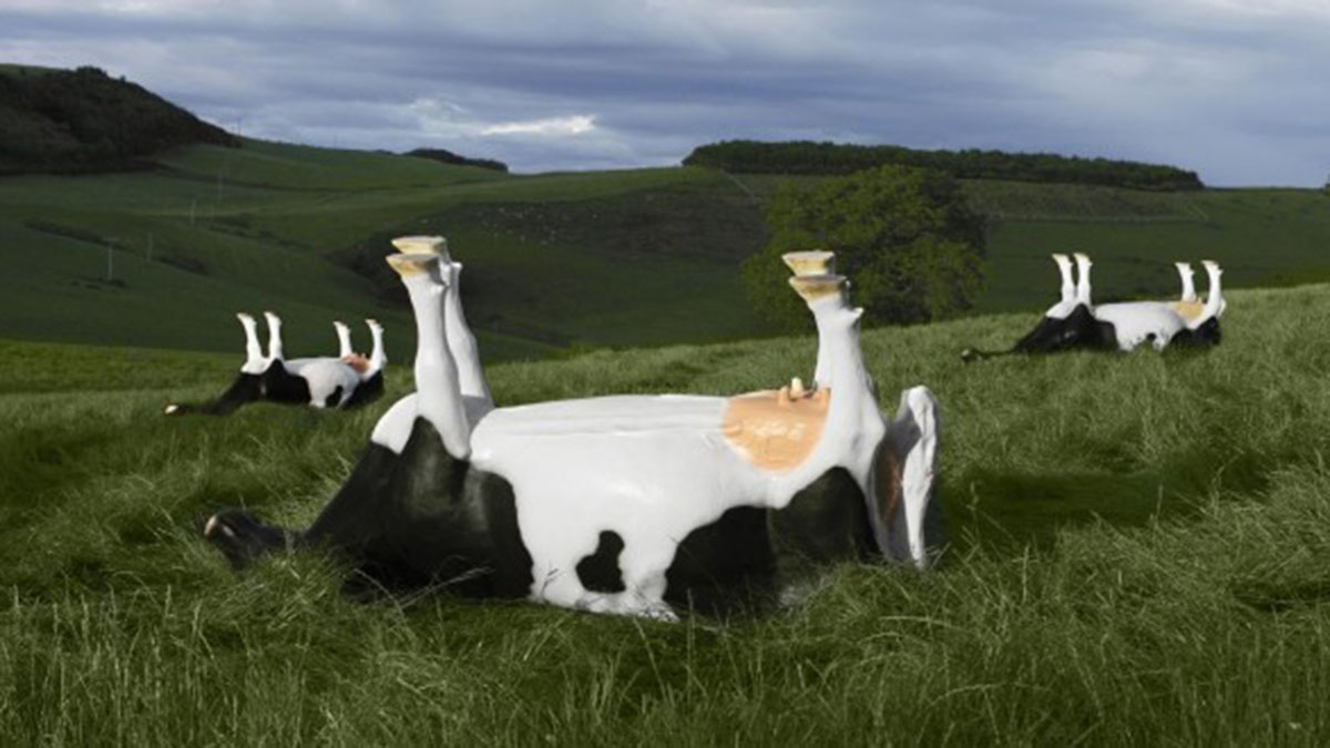 #Circumcision, an American sacred cow that needs to die. What do you say? #i2