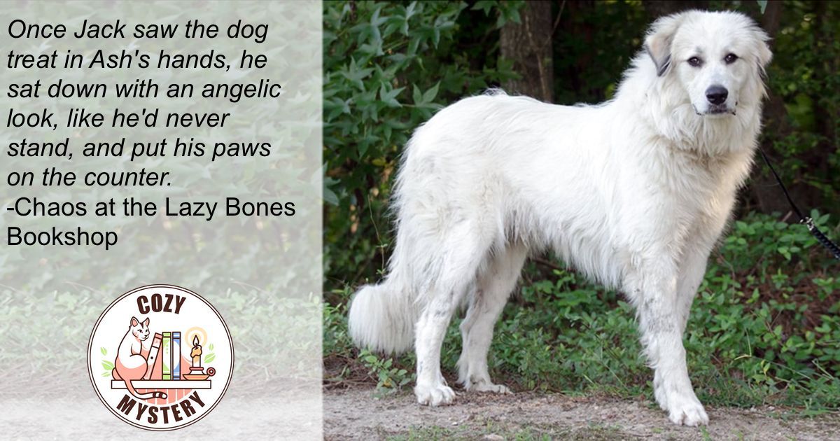 It's Dog Day! Our featured series today is <a href="/duncanemmeline/">Emmeline Duncan</a>'s Halloween Bookshop series. Meet Jack Skeleton, the Great Pyrenees who helps Bailey solve a murder. cozymystery.com/authors/emmeli…