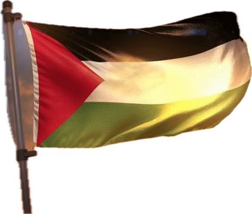SultannOttomane's tweet photo. @mhdksafa https://t.co/VroMg5spDG