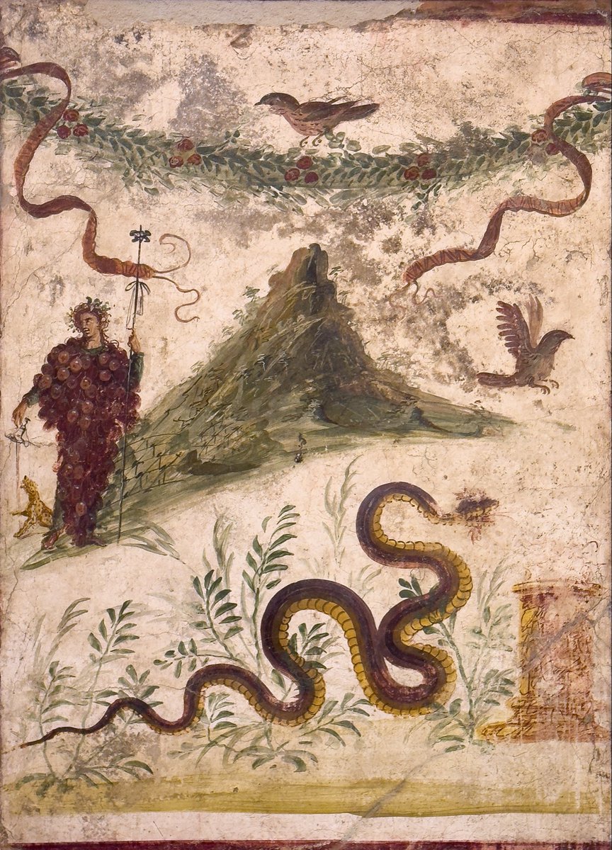 chapps's tweet photo. @Ronnaislloyd A very familiar fresco on that page. My favorite parts are the tiny little vineyards running up the mountain … 🍇
📸 me
#MANNapoli https://t.co/OMhoW90p4K