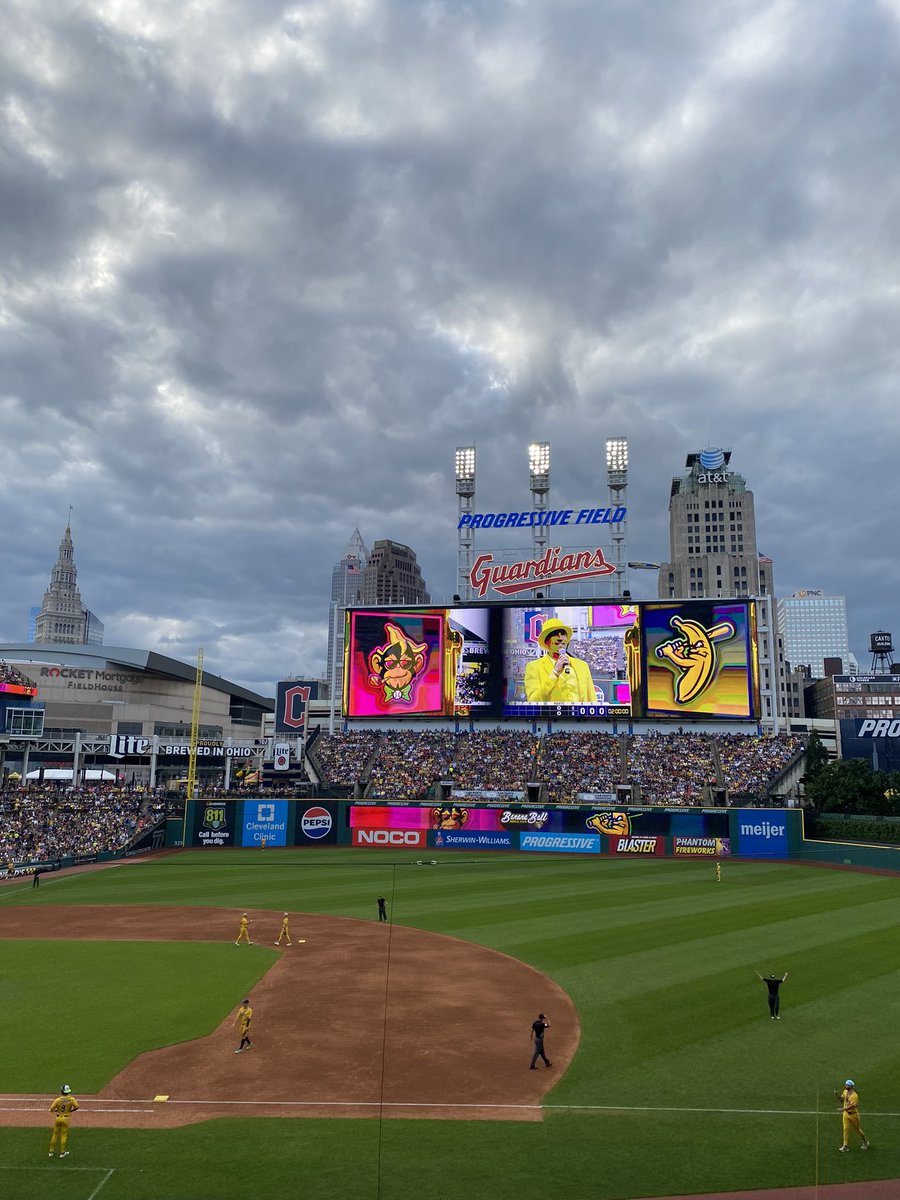 Teresa Ringenbach tweet media