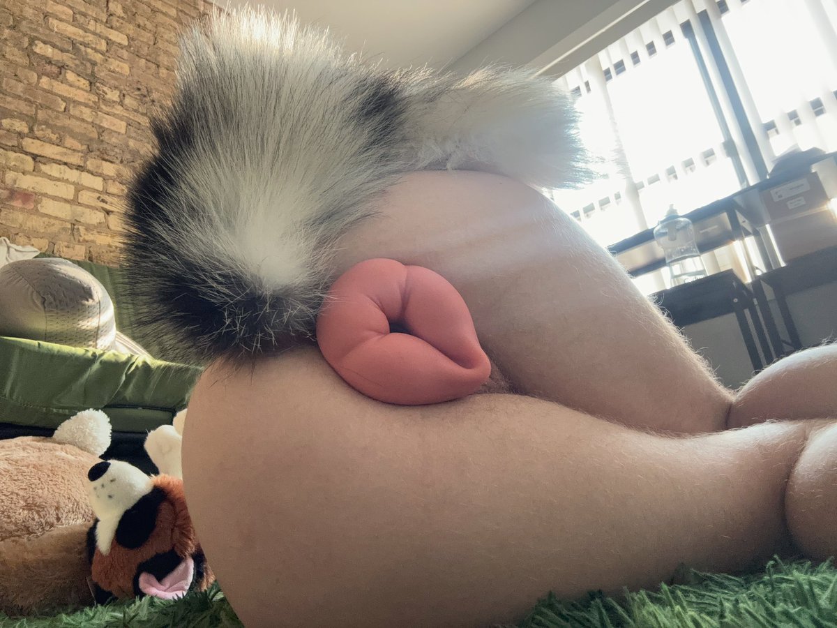 puppychompsAD's tweet photo. [ irl puppy pics - it/he/she prns ] 

is it just you or does that dog keep lifting its tail in your face,,,? maybe the poor pup needs some help ;3 https://t.co/ICk3SS4Fbh