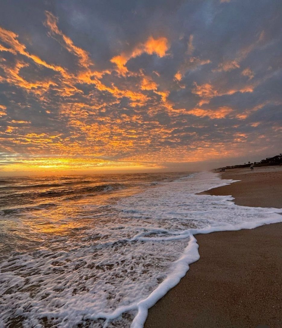 Aesthetics (@aestheticspost_) on Twitter photo 