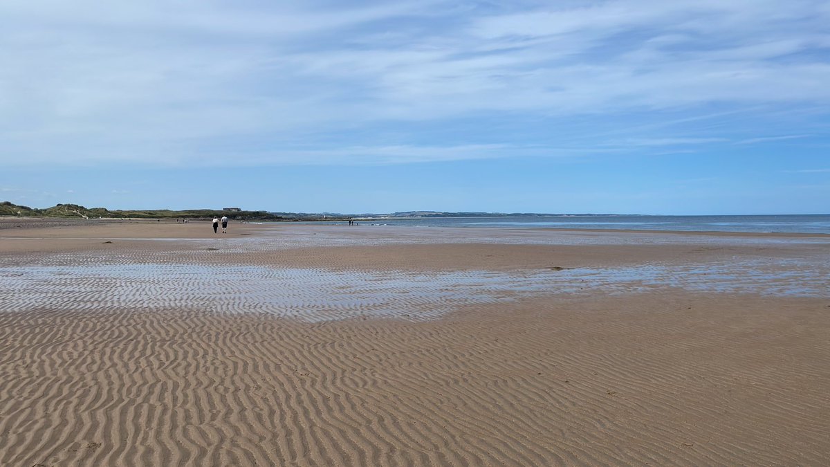 albrightonrev's tweet photo. Struggling for space on these crowded beaches…. https://t.co/1DsRK0Ocns
