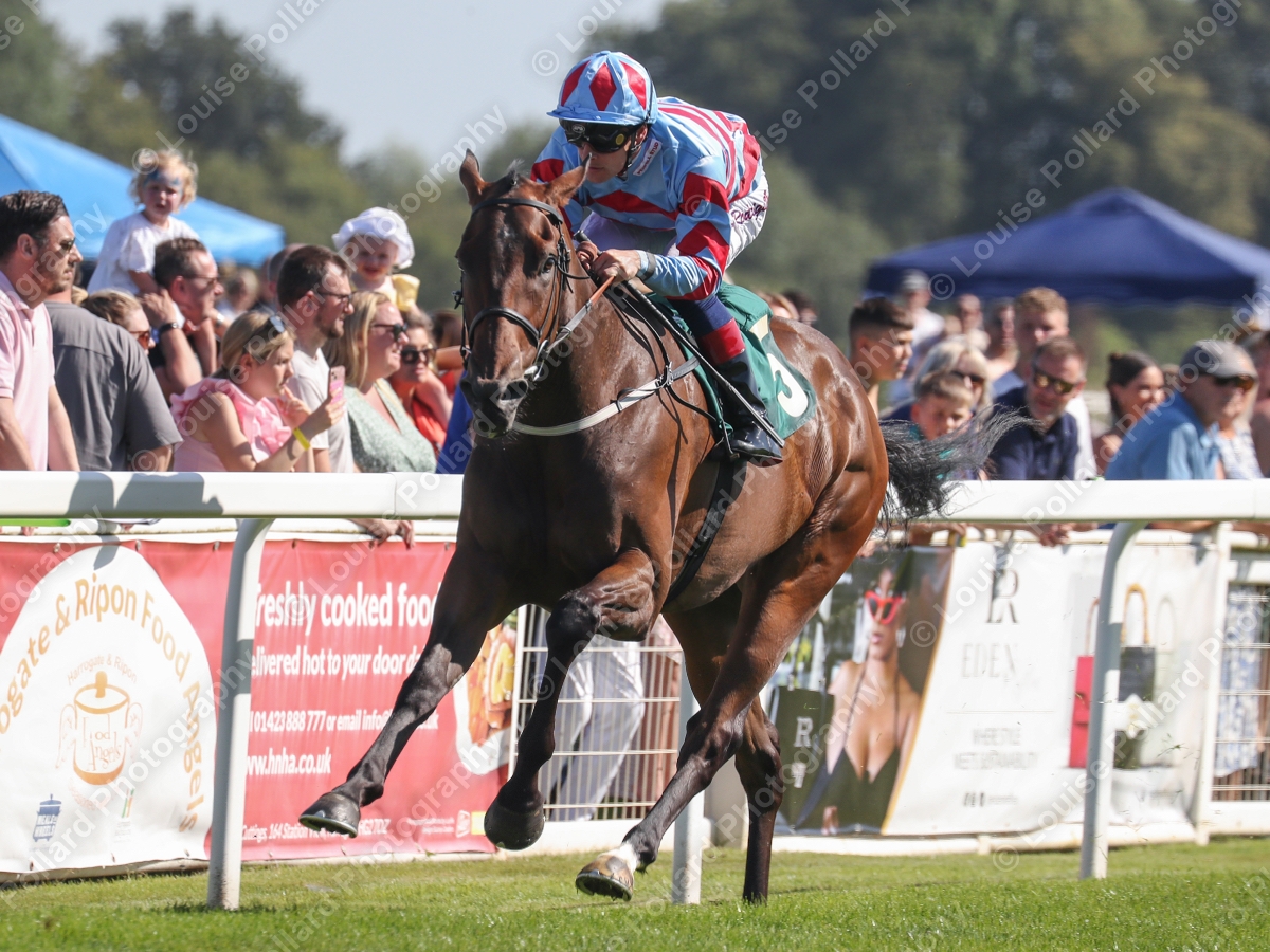Louise Pollard (@sqweezy) on Twitter photo Oosterpark and Callum Rodriguez <a href="/CallumRodrigue4/">Callum Rodriguez</a> Win The <a href="/RiponRaces/">Ripon Races</a> -races.co.uk Book Now For Saturday 17th August Handicap Ripon Racecourse 11th August 2024 Trained By Edward Bethell <a href="/ebethellracing/">Edward Bethell Racing</a> Owned By The Penhill Stud Syndicate bit.ly/3WHc3Vh Oosterpark and Callum Rodriguez <a href="/CallumRodrigue4/">Callum Rodriguez</a> Win The <a href="/RiponRaces/">Ripon Races</a> -races.co.uk Book Now For Saturday 17th August Handicap Ripon Racecourse 11th August 2024 Trained By Edward Bethell <a href="/ebethellracing/">Edward Bethell Racing</a> Owned By The Penhill Stud Syndicate bit.ly/3WHc3Vh