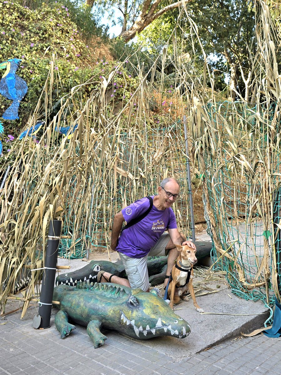 QuintanaCarles's tweet photo. Un humà i la seva mascota rodejats per caimans, en un carrer de Malgrat de Mar #photographercarlesqf #malgratdemar #festamajor @BCNmoltmes @ajmalgrat @turismemalgrat @CostaBcnMaresme #malgrattestima @PaisatgesC #santroc2024 @OnaMalgrat #festamajor @cultura_cat https://t.co/umEQoq9BQ3