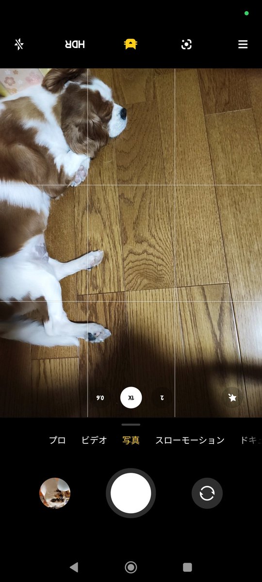 mai_1028's tweet photo. 何気にカメラのモード(下のプロ、ビデオ、写真とかの切り替え)がカスタマイズ出来るのめっちゃ便利かよ。その他のモードも下からスワイプですぐ呼び出せるし。ポートレートよりスローモーションとドキュメント、プロを使いたいのでそこをメインのモードにしてその他も並び替えた。
#Xiaomi #11Tpro https://t.co/1yRfVZYY1q